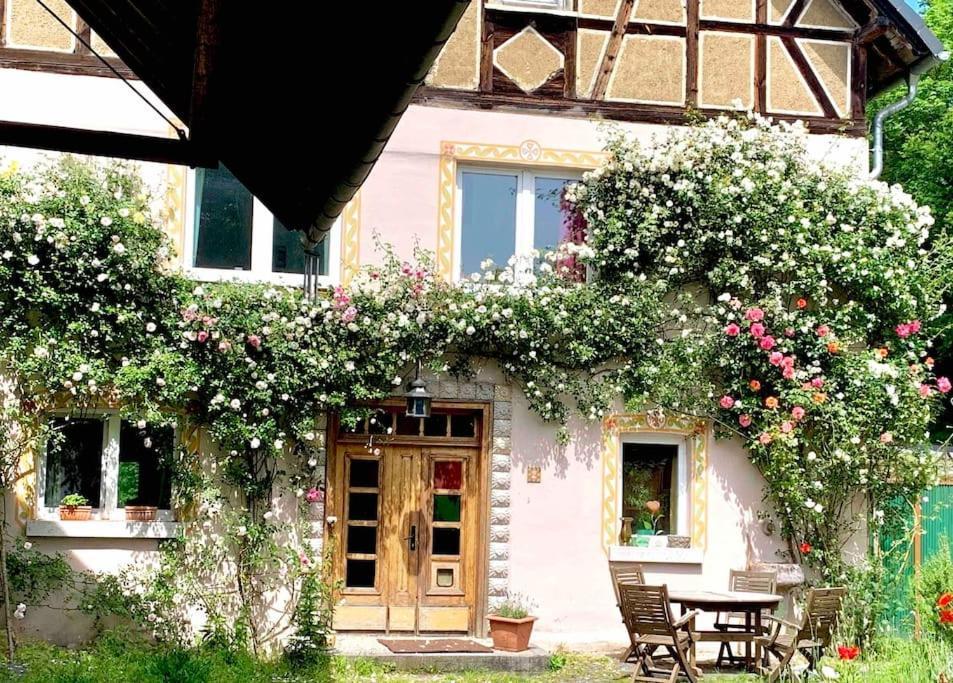 Kleine Kunstremise Mit Holzofen Burg Freienfels Apartment Weinbach Exterior photo